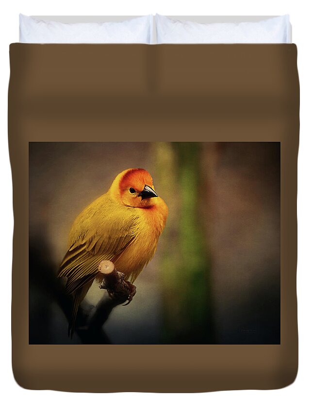Yellow Duvet Cover featuring the photograph Golden Weaver by Maria Angelica Maira