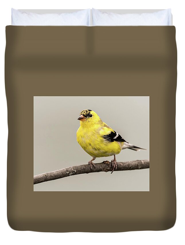 Goldfinch Duvet Cover featuring the photograph Goldfinch by Jeffrey PERKINS