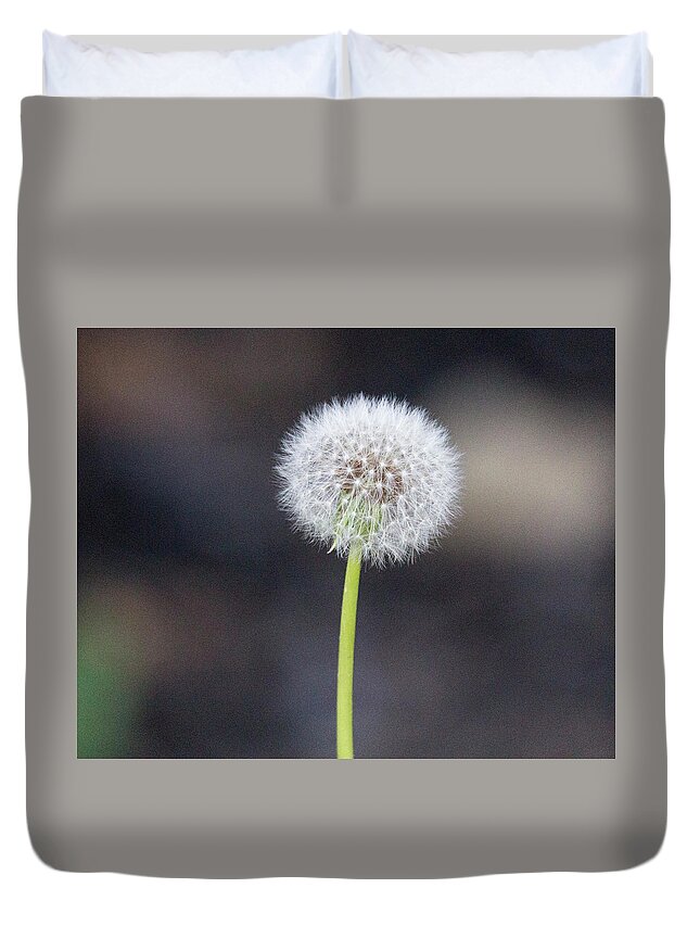 Flower Duvet Cover featuring the photograph Gone to seed by David Beechum