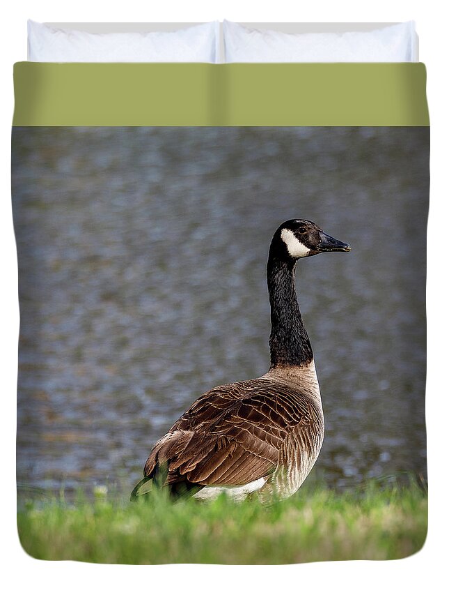 Birds Duvet Cover featuring the photograph Goose by David Beechum