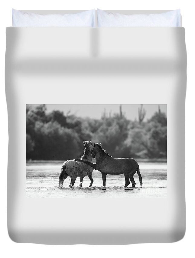 Salt River Wild Horses Duvet Cover featuring the photograph Got Your Back by Shannon Hastings