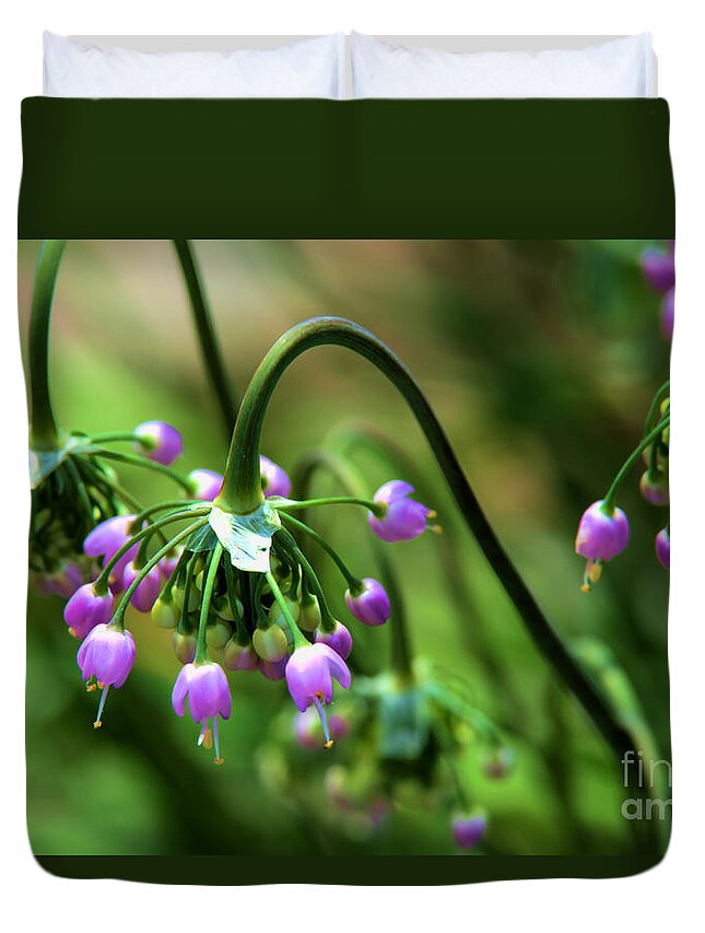 Allium Duvet Cover featuring the photograph Graceful Stem and blooms by Kae Cheatham