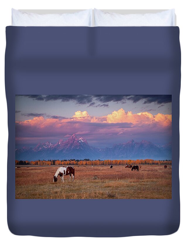 Grand Tetons Duvet Cover featuring the photograph Grand Teton Pasture by Wesley Aston