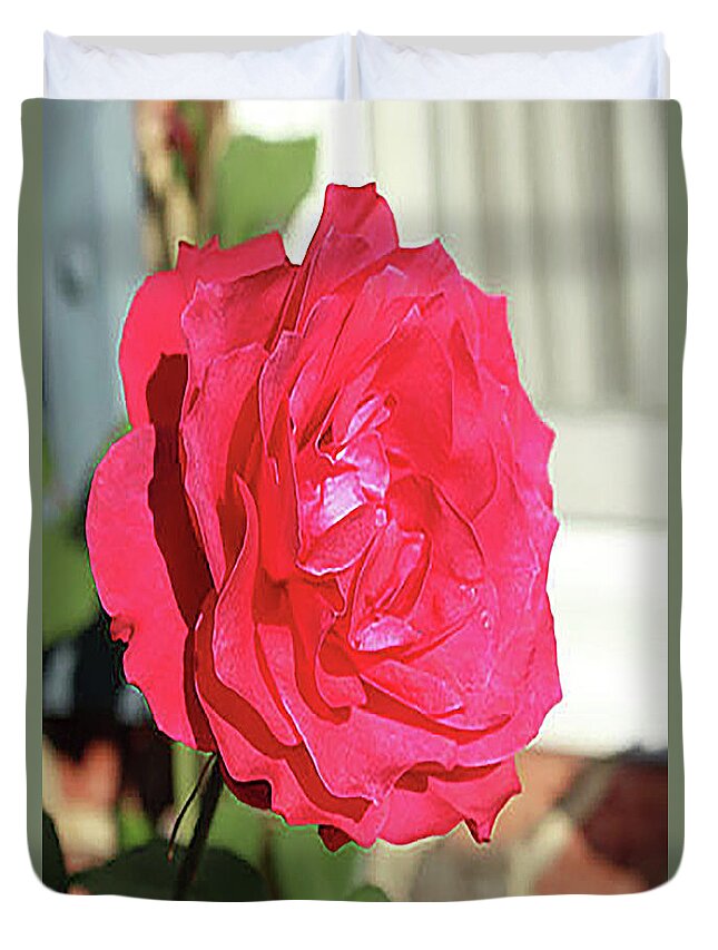 Rose Duvet Cover featuring the digital art Grandma's Rose by Linda Ritlinger