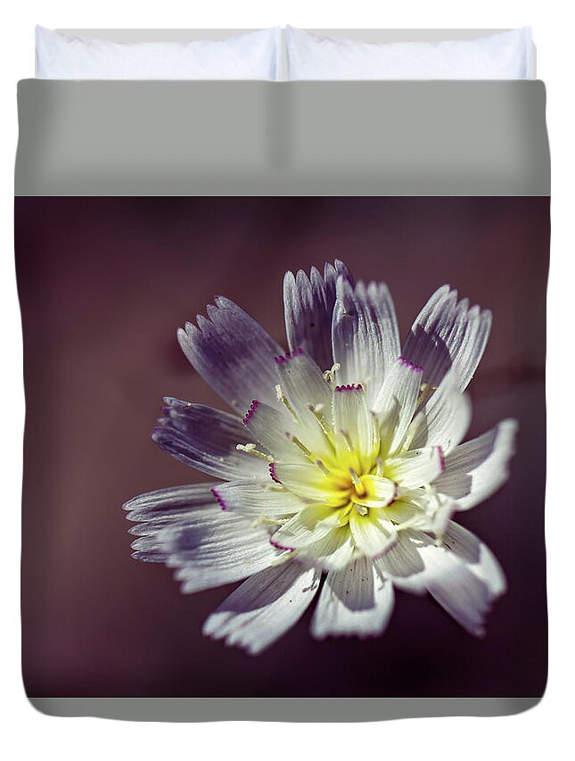 Flowers Duvet Cover featuring the photograph Gravel Ghost by Laura Roberts