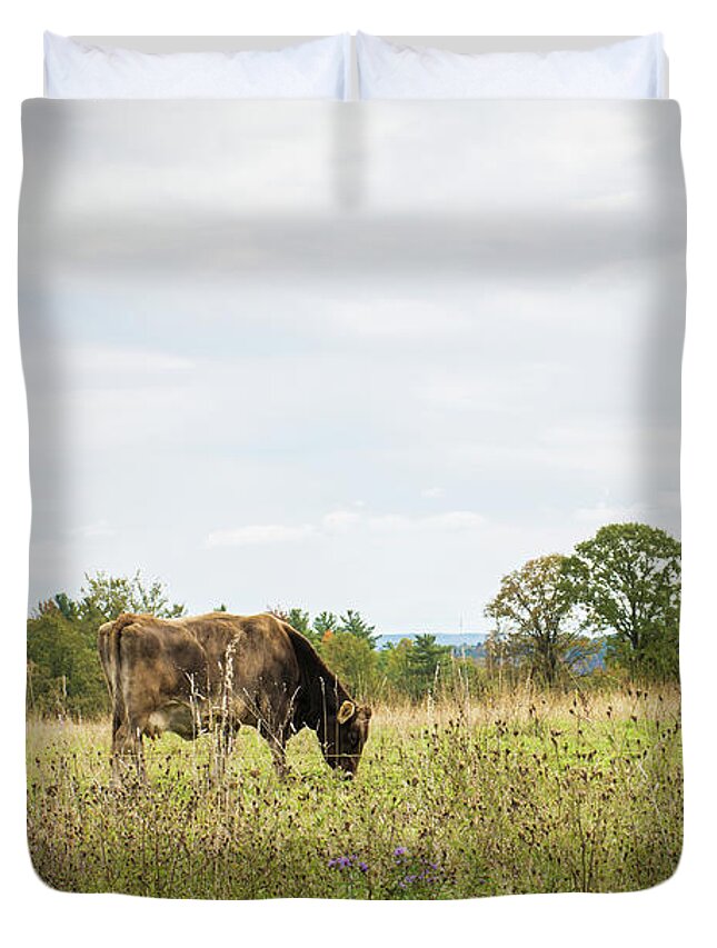 Cow Duvet Cover featuring the photograph Grazing Cow in the Pasture by Angie Tirado