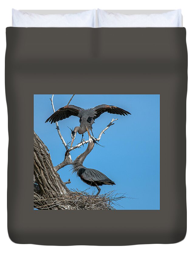 Stillwater Wildlife Refuge Duvet Cover featuring the photograph Great Blue Heron 19 by Rick Mosher