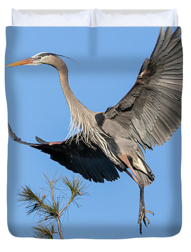 Great Blue Heron Duvet Cover featuring the photograph Great Blue Heron 2021-1 by Thomas Young