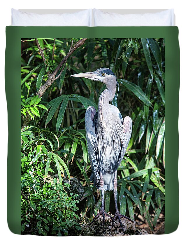 Blue Duvet Cover featuring the photograph Great blue heron by Alex Mironyuk
