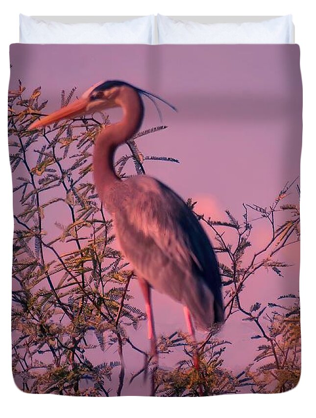 Arizona Duvet Cover featuring the photograph Great Blue Heron - Artistic 6 by Judy Kennedy