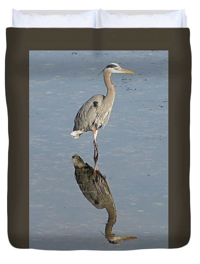 Harbor Duvet Cover featuring the photograph Great Blue Heron by Bill TALICH