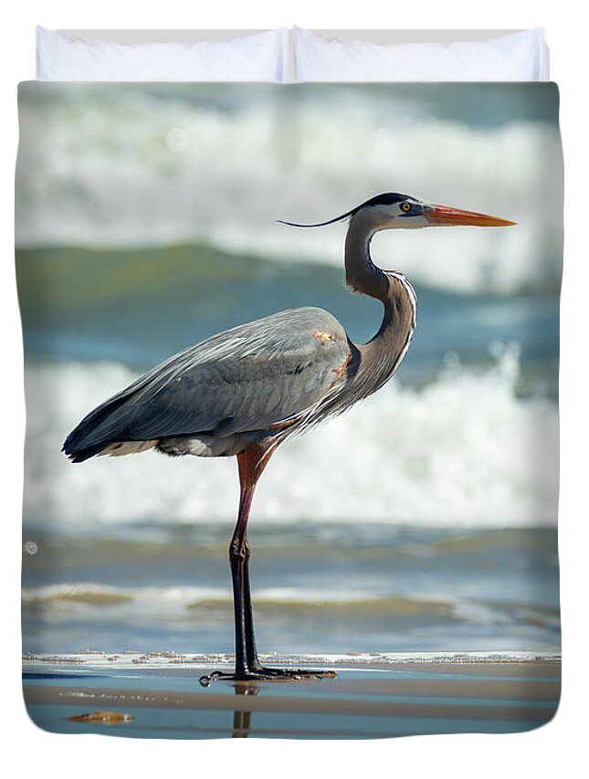 Bird Duvet Cover featuring the photograph Great Blue Heron Profile by Patti Deters