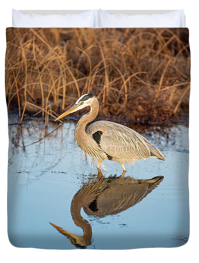 Back Bay Duvet Cover featuring the photograph Great Blue Heron Reflection by Donna Twiford
