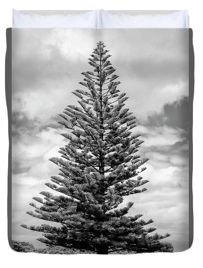 Great Ocean Road Duvet Cover featuring the photograph Great Christmas Tree 2 by Bob Phillips