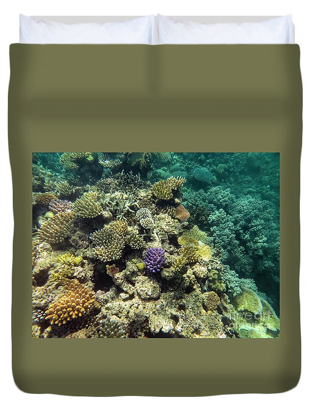 Great Barrier Reef Duvet Cover featuring the photograph Great Coral Reef Colors by Bob Phillips