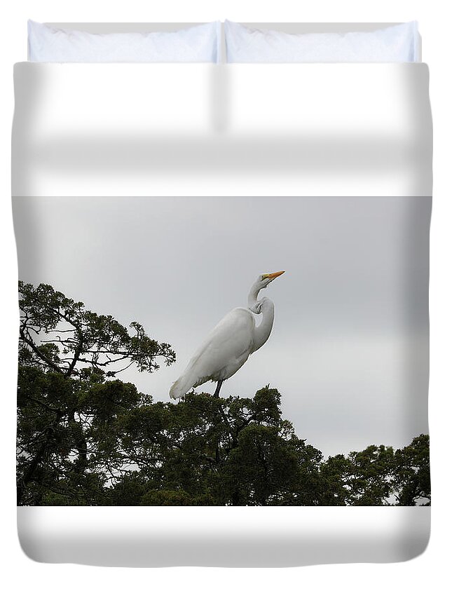 Great Egret Duvet Cover featuring the photograph Great Egret Balanced by Doolittle Photography and Art