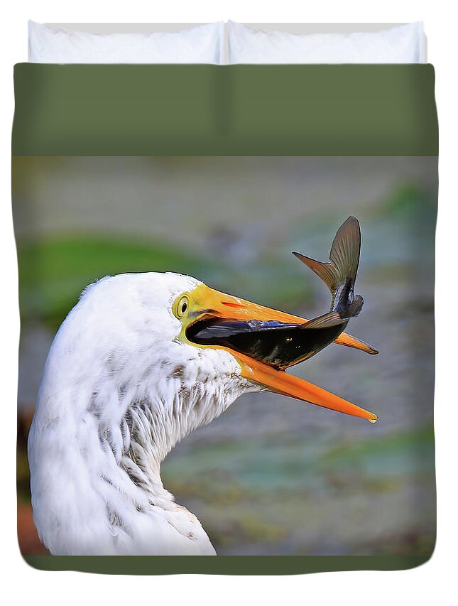 Great Egret Duvet Cover featuring the photograph Great Egret Caught a Carp by Shixing Wen