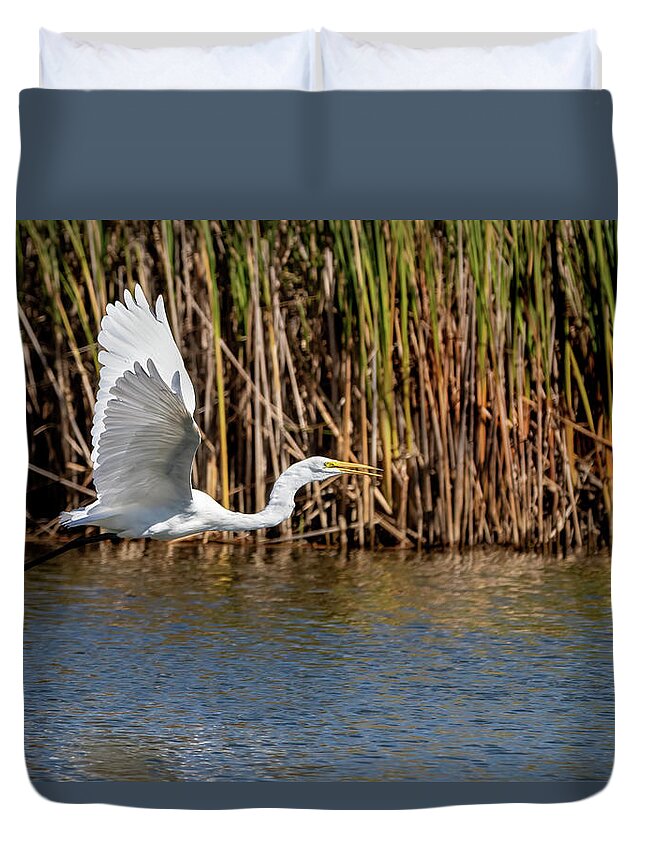 Bird Duvet Cover featuring the photograph Great Egret Flying Low by Ira Marcus
