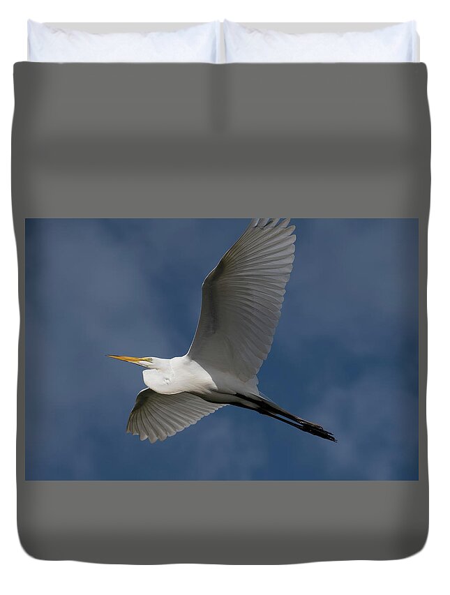 Great Duvet Cover featuring the photograph Great Egret in Flight by Carolyn Hutchins