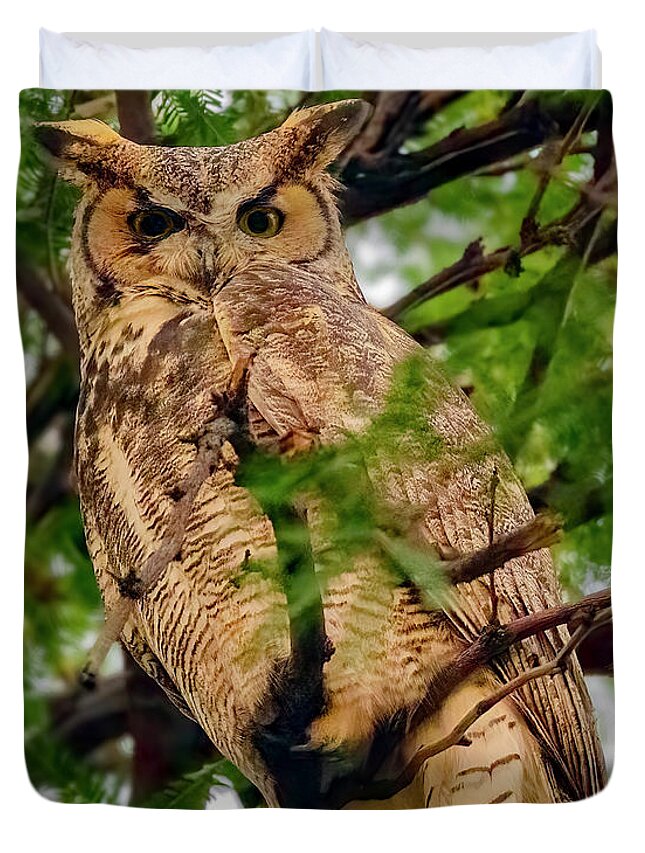 Mark Myhaver Photography Duvet Cover featuring the photograph Great Horned Owl 24536 by Mark Myhaver