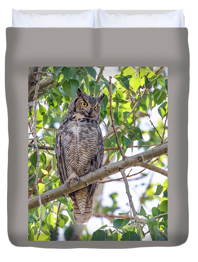 Owl Duvet Cover featuring the photograph Great Horned Owl Hunting by Dawn Key