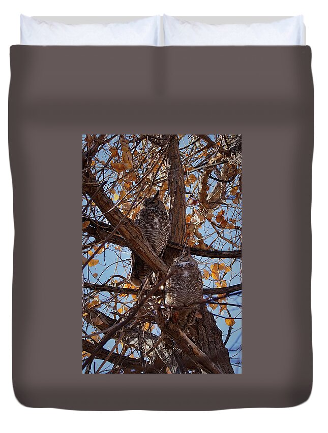 Birds Duvet Cover featuring the photograph Great Horned Owls by Ernest Echols