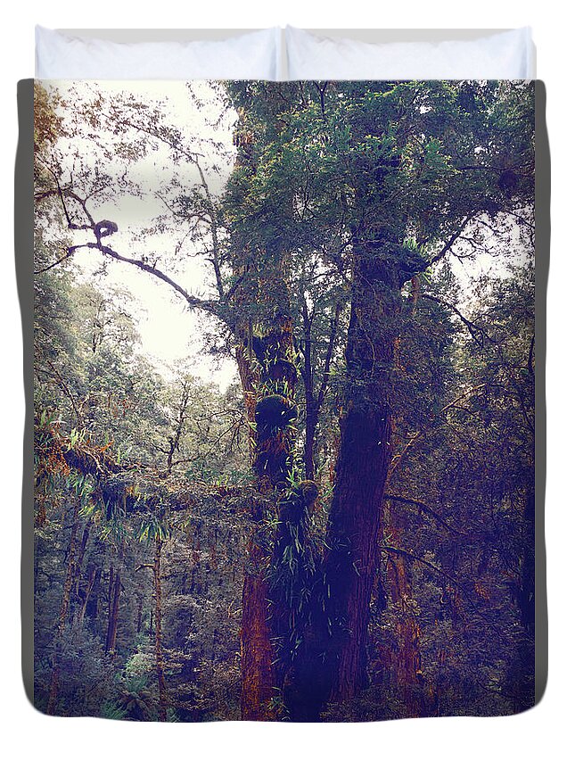 Great Otway Duvet Cover featuring the photograph Great Otway Forest by Cassandra Buckley