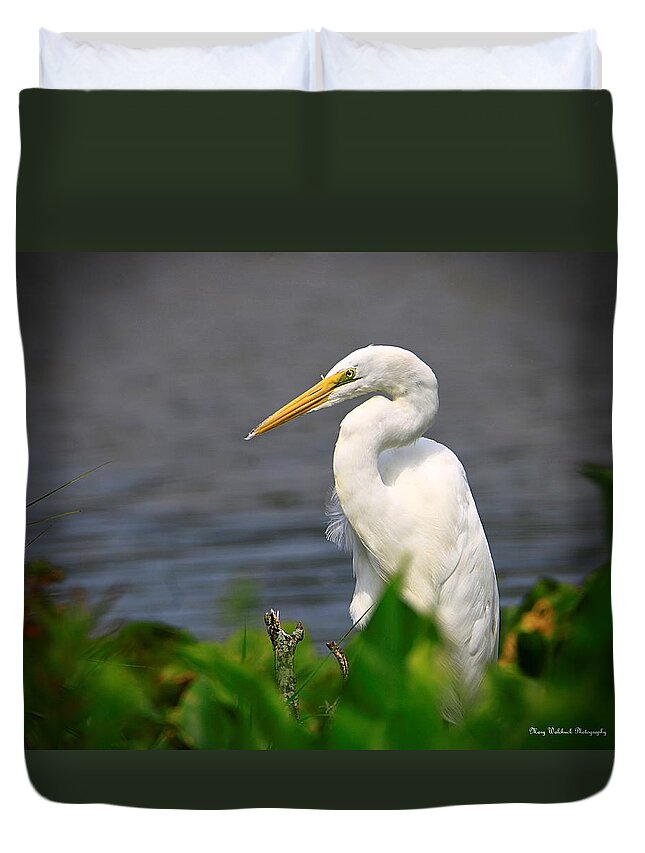 Birds Duvet Cover featuring the photograph Great White Egret by Mary Walchuck