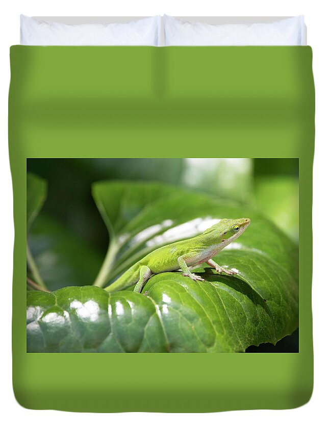 Nature Duvet Cover featuring the photograph Green Anole by David Salter