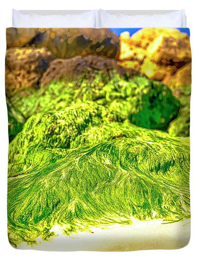 Australia Duvet Cover featuring the photograph Green Beard by Jay Heifetz