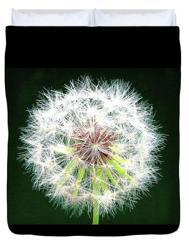 Dandelion Duvet Cover featuring the photograph Green Geometry by Larry Beat