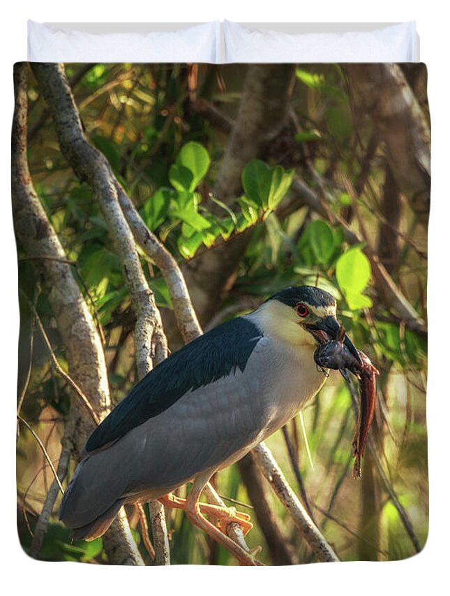 Animal Duvet Cover featuring the photograph Green Heron's Catch by Framing Places