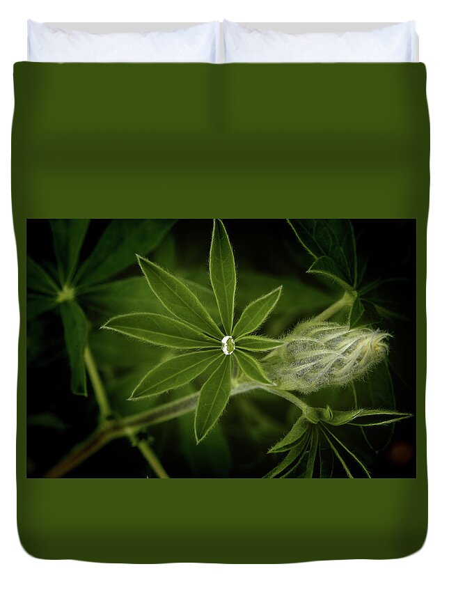 Alaska Duvet Cover featuring the photograph Green Leaves on a Dark Background by James C Richardson