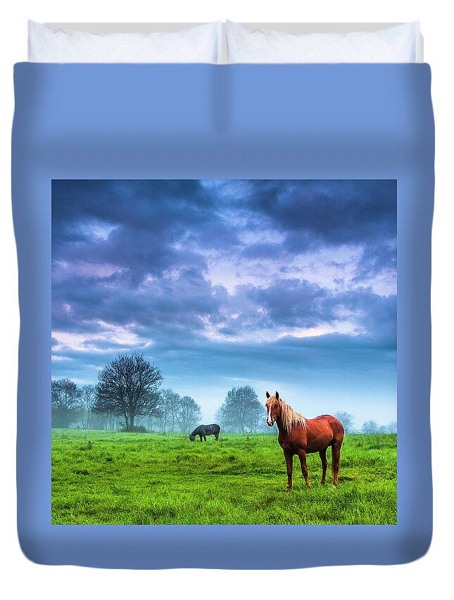 Fog Duvet Cover featuring the photograph Green Morn by Evgeni Dinev