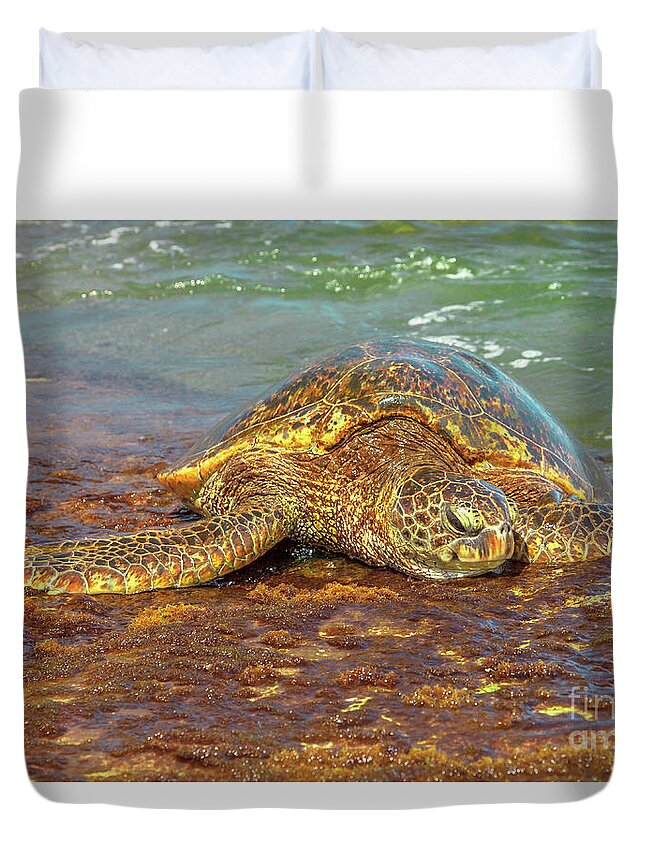 Green Sea Turtle Duvet Cover featuring the photograph Green Sea Turtle Hawaii by Benny Marty