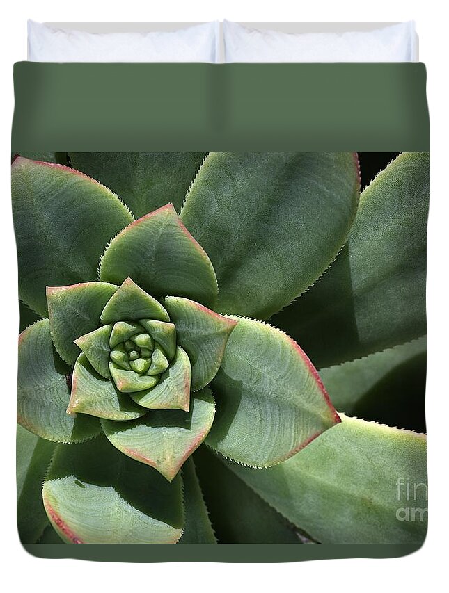 Joy Watson Duvet Cover featuring the photograph Green Shades Of Hens And Chicks by Joy Watson