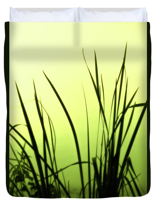Reeds Duvet Cover featuring the photograph Green Soft Edges of morning by Cynthia Dickinson