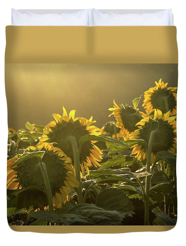 Sunflower Duvet Cover featuring the photograph Greeting the dawn by Robert Miller
