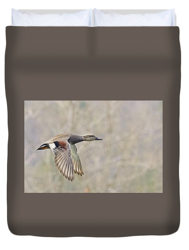 Duck Duvet Cover featuring the photograph Grey Duck in a grey background by Jim E Johnson