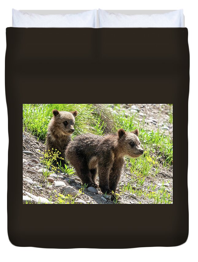 Grizzly Duvet Cover featuring the photograph Grizzly Bear Cubs by Wesley Aston
