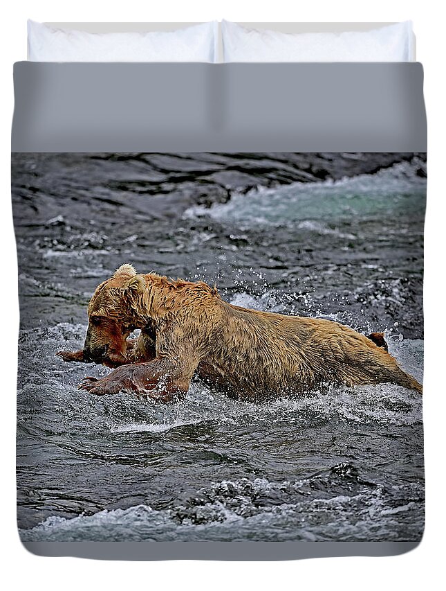 Grizzly Duvet Cover featuring the photograph Grizzly Bear Diving for Salmon by Amazing Action Photo Video