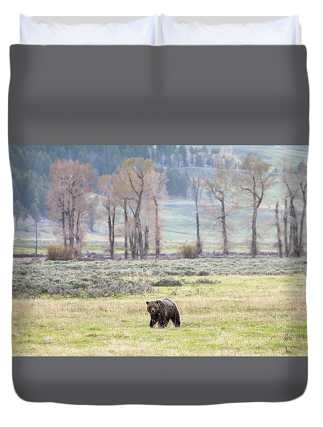 Grizzly Bear Duvet Cover featuring the photograph Grizzly on the Valley Floor by Max Waugh