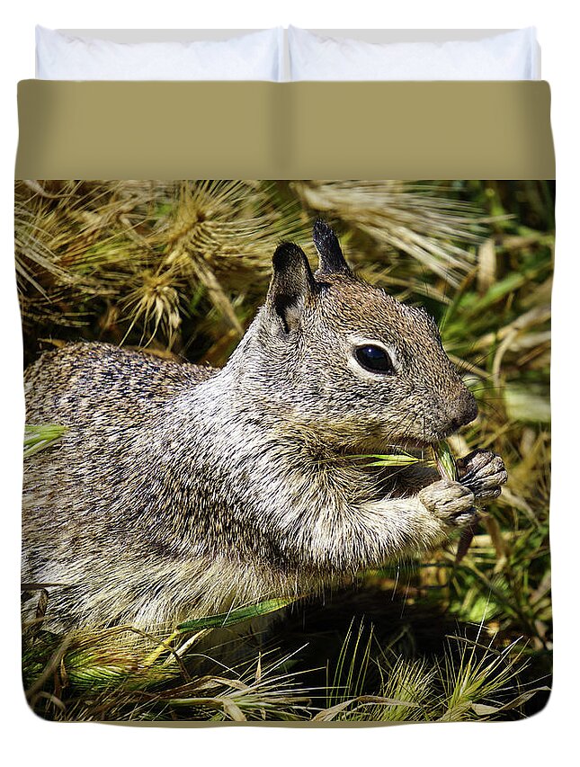 Ground Squirrel Duvet Cover featuring the photograph Coastal Critter by Brett Harvey