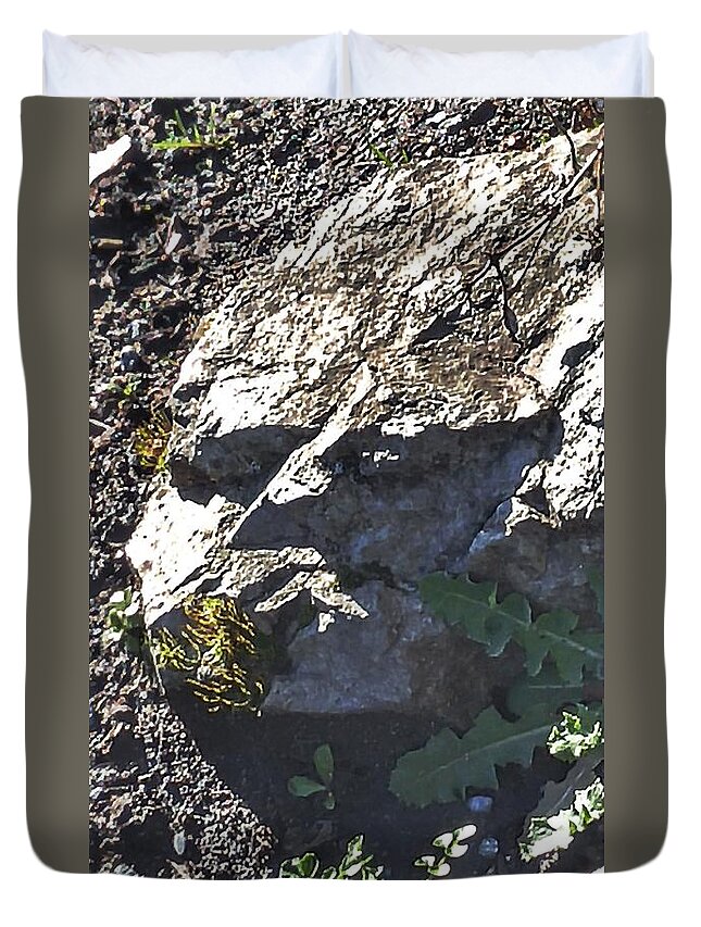 Stones Duvet Cover featuring the photograph Grumpy Rock by Kimberly Furey