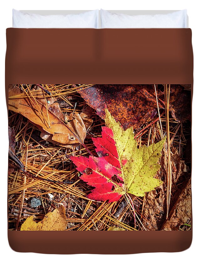 Red Duvet Cover featuring the photograph Half and Half Maple by Cynthia Clark