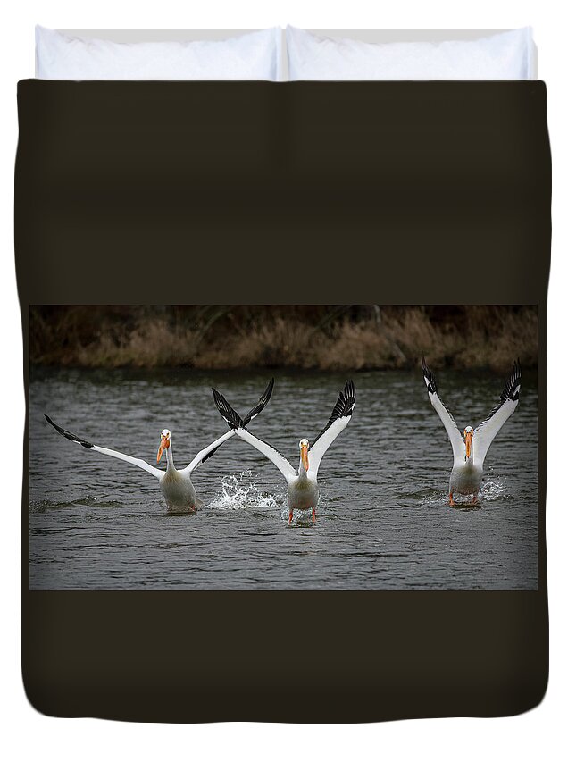 Evergreen Lake Duvet Cover featuring the photograph Hands Up by Ray Silva