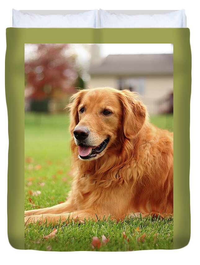 Dog Duvet Cover featuring the photograph Handsome Golden by Lens Art Photography By Larry Trager