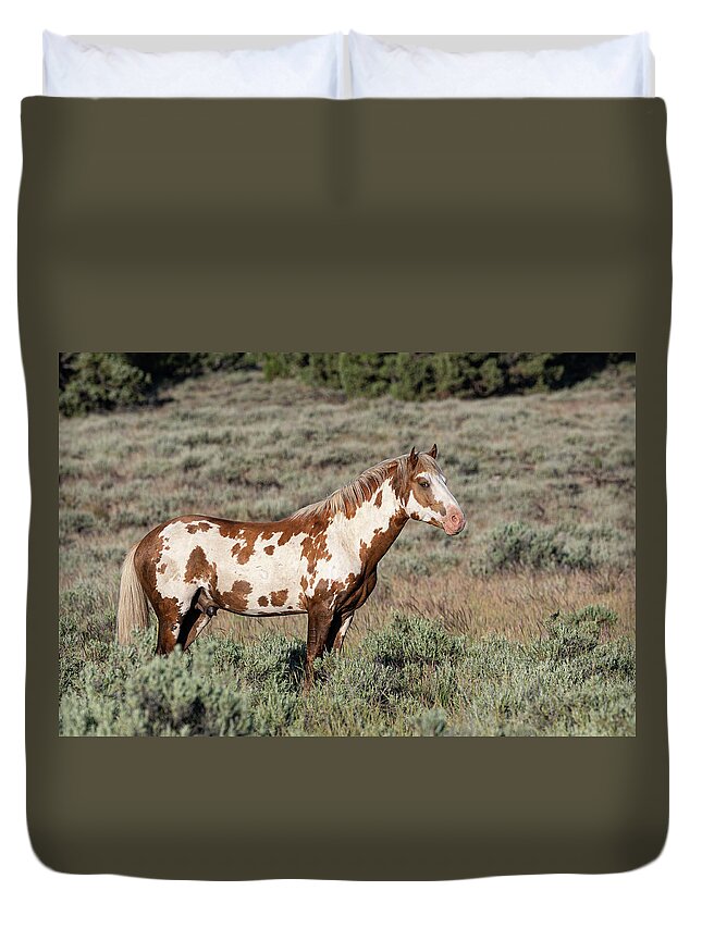 Wild Horses Duvet Cover featuring the photograph Handsomest Guy by Mary Hone
