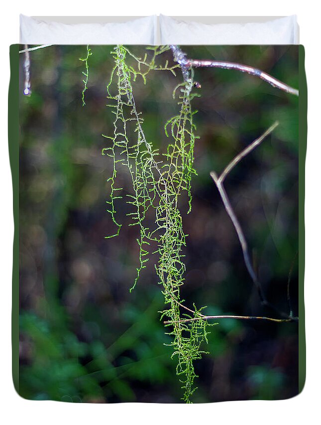 Leaves Duvet Cover featuring the photograph Hanging Lichen by Elaine Teague