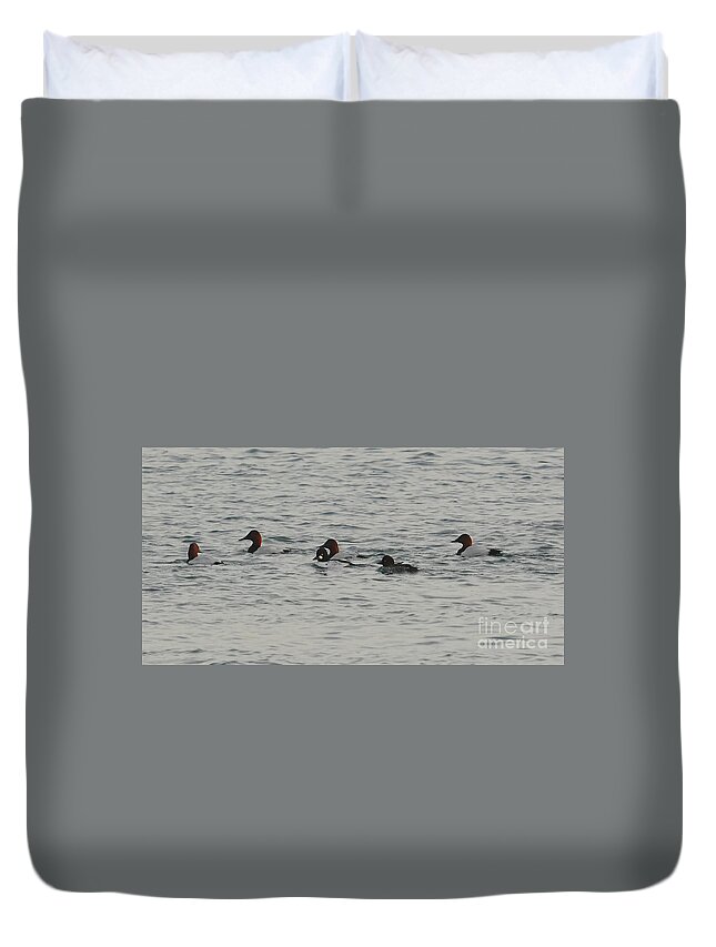Canvasbacks Duvet Cover featuring the photograph Hanging Out in the Niagara Hood by fototaker Tony